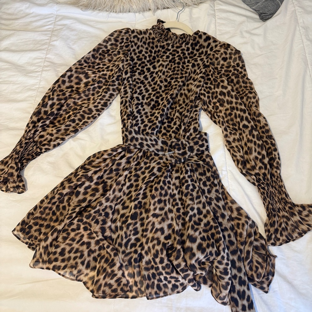 Zara leopard print dress